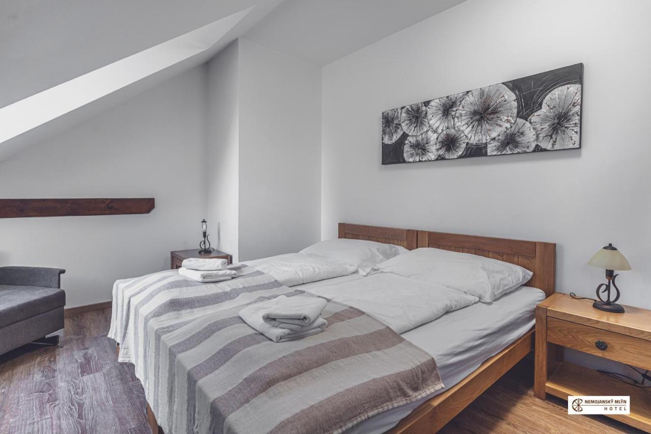 Hotel Nemojansky Mlyn Nemojany エクステリア 写真