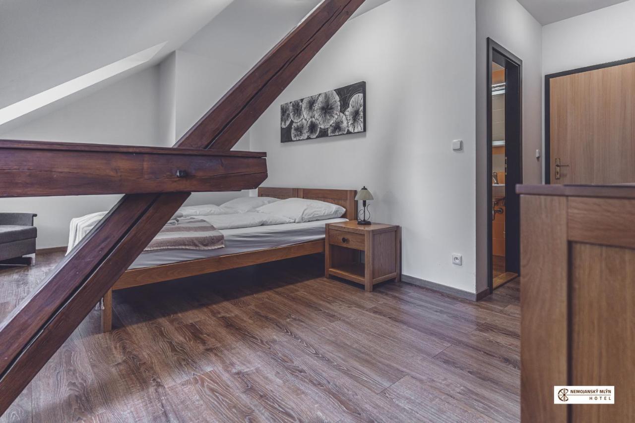 Hotel Nemojansky Mlyn Nemojany エクステリア 写真