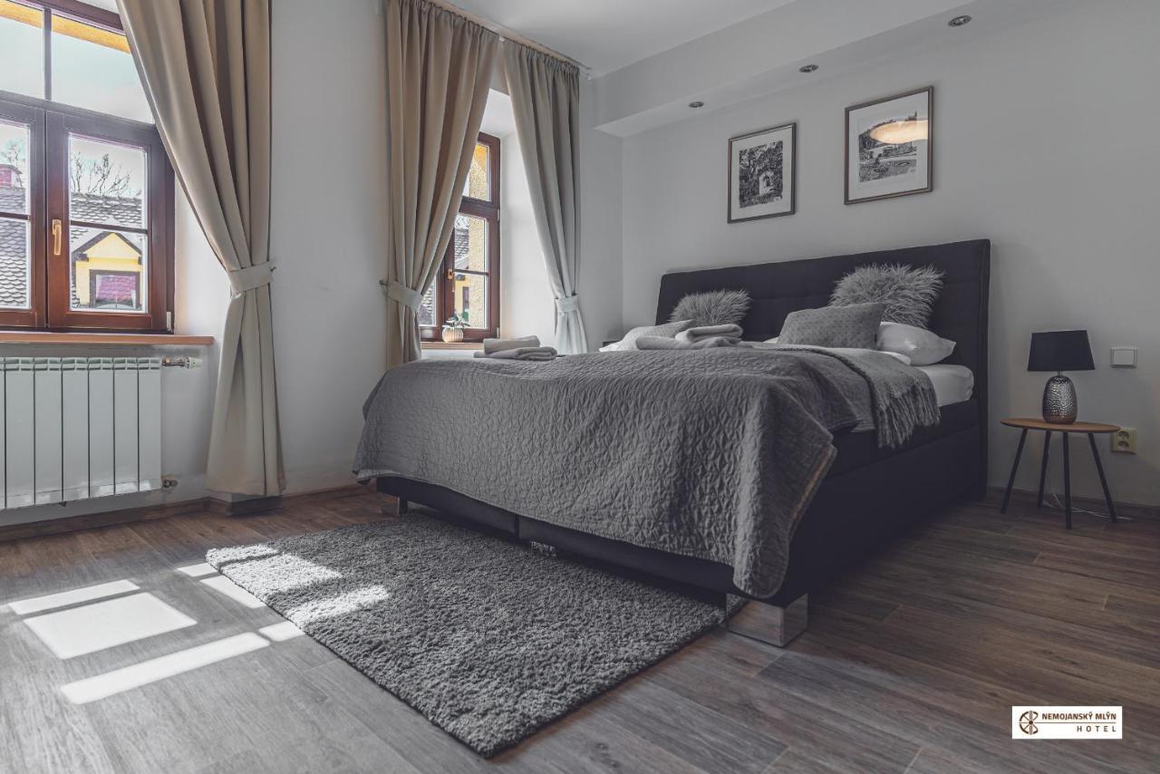 Hotel Nemojansky Mlyn Nemojany エクステリア 写真
