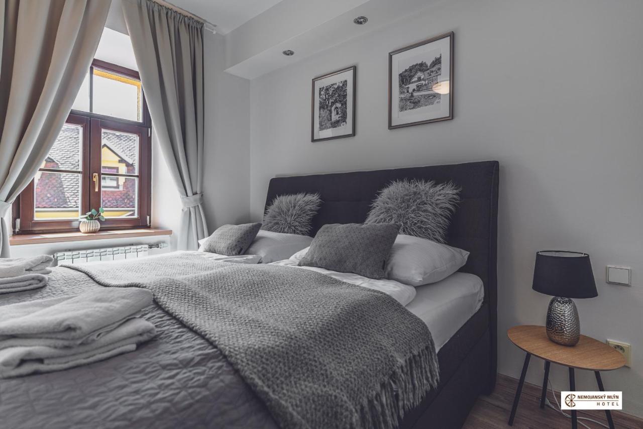 Hotel Nemojansky Mlyn Nemojany エクステリア 写真