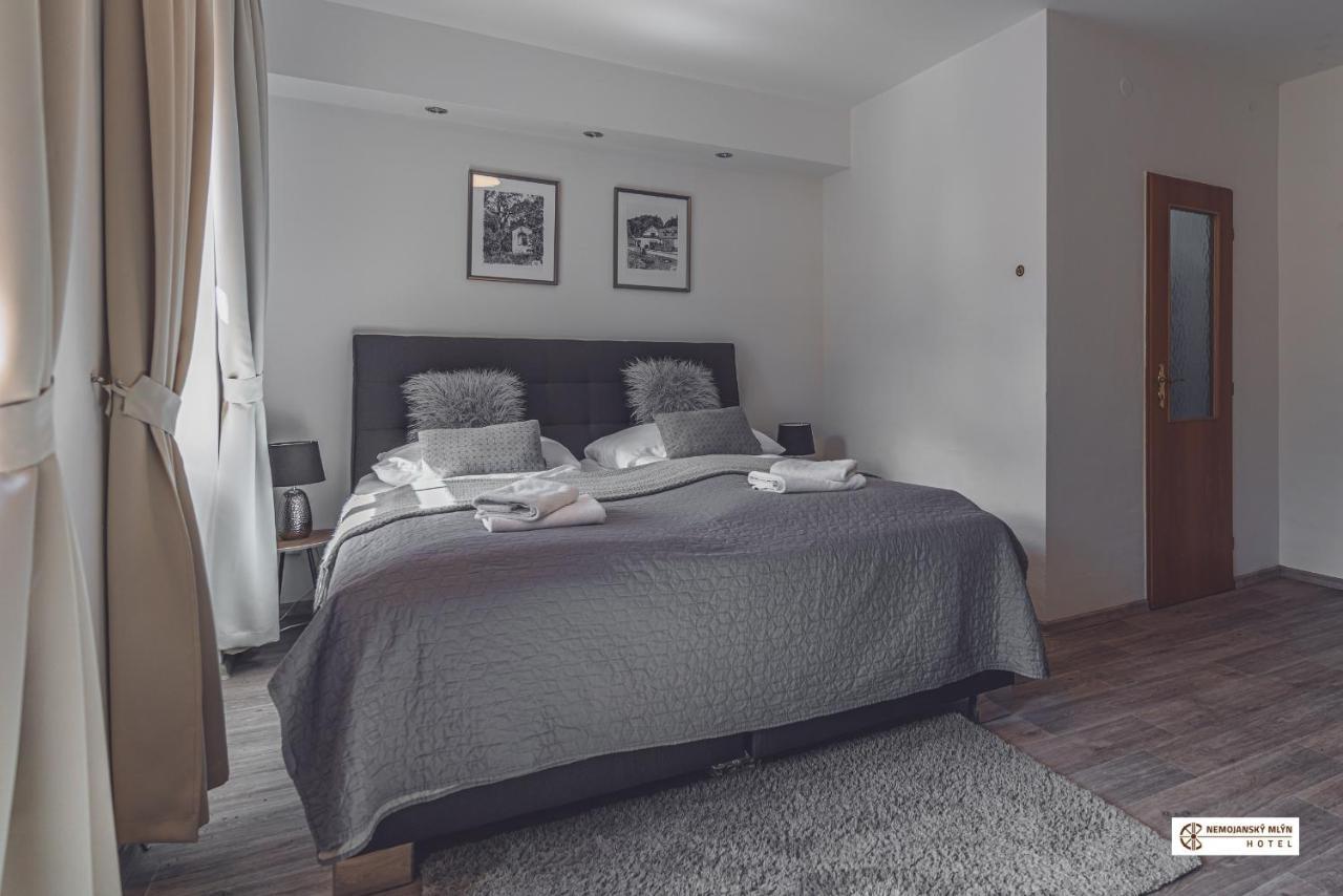 Hotel Nemojansky Mlyn Nemojany エクステリア 写真