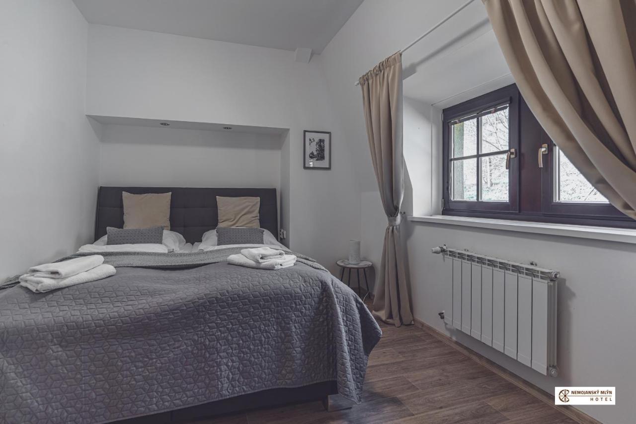 Hotel Nemojansky Mlyn Nemojany エクステリア 写真
