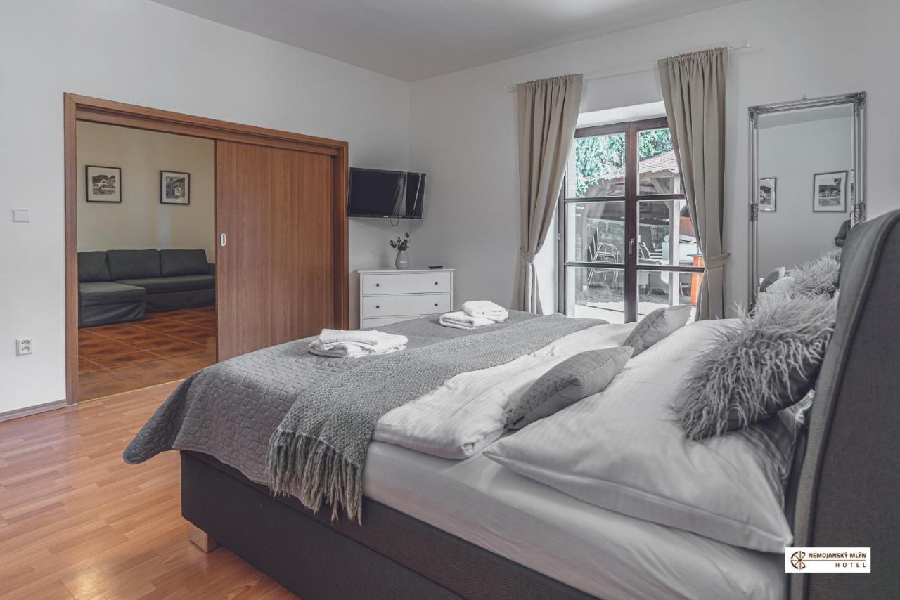 Hotel Nemojansky Mlyn Nemojany エクステリア 写真