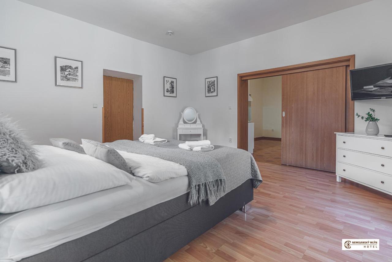 Hotel Nemojansky Mlyn Nemojany エクステリア 写真